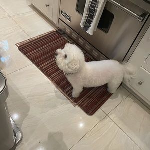 Meet your Posher, Jordan